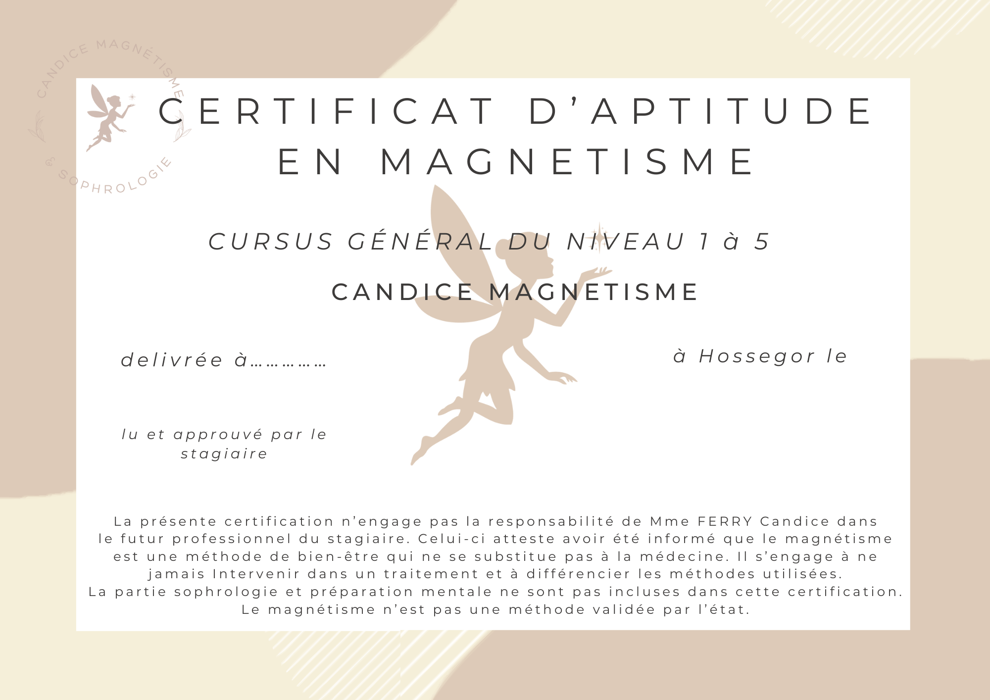 Certificat de réussite d'aptitude en magnétisme pour le cursus général